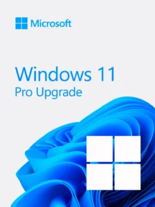 Windows 11 Home a Windows 11 Pro (Aggiornamento)