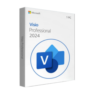 Microsoft Visio Professional 2024 BIND
